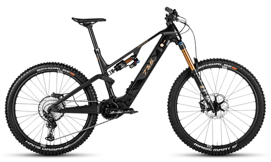 Rotwild R.E 735 Core